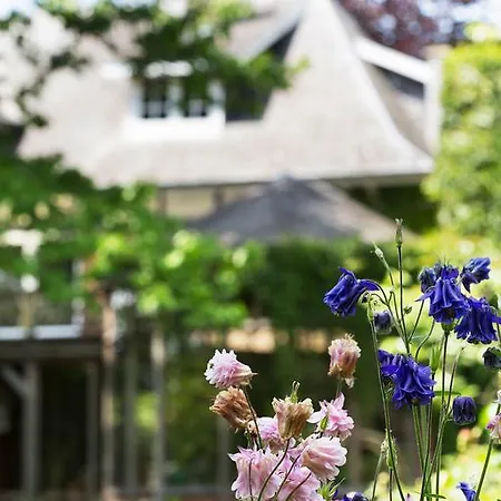 Ter Poele B&B Avelgem